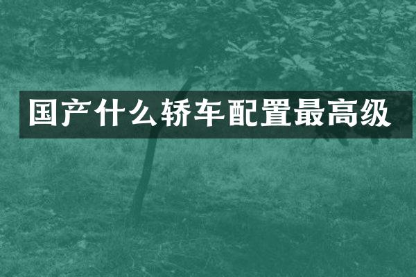 国产什么轿车配置最高级