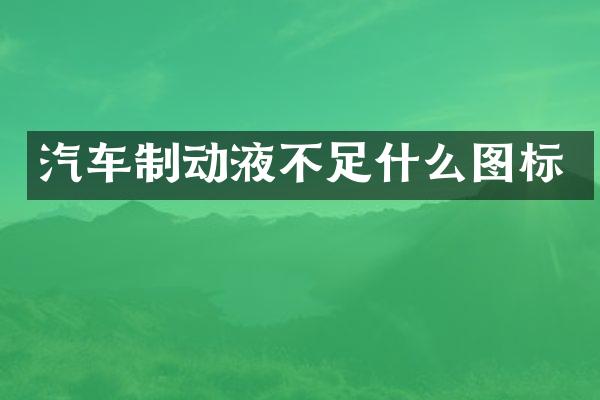 汽车制动液不足什么图标