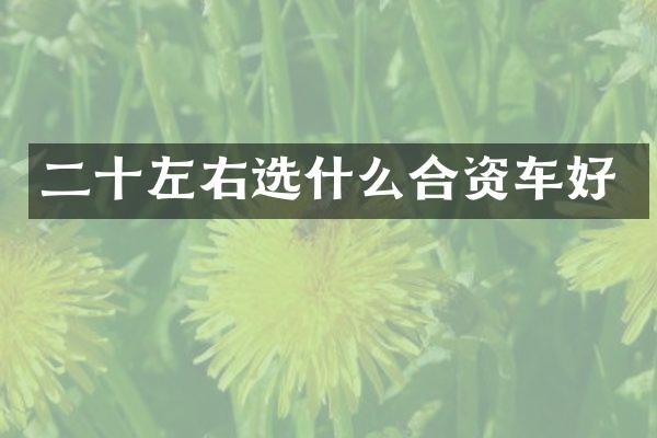 二十左右选什么合资车好