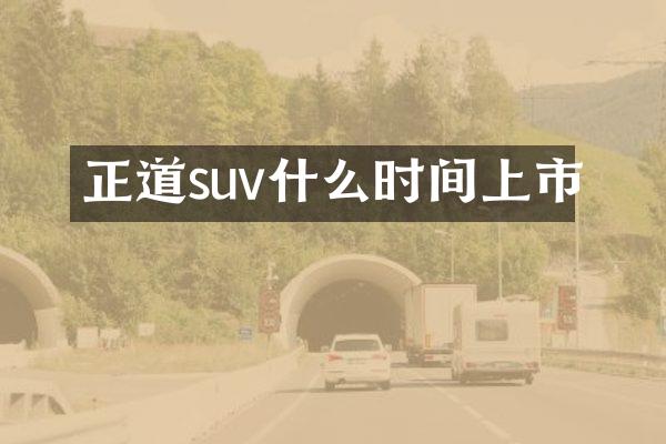 正道suv什么时间上市