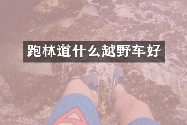 跑林道什么越野车好