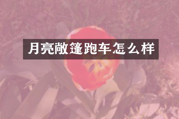 月亮敞篷跑车怎么样