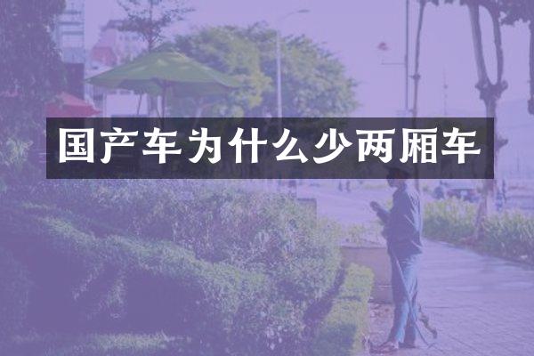 国产车为什么少两厢车