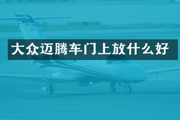 大众迈腾车门上放什么好