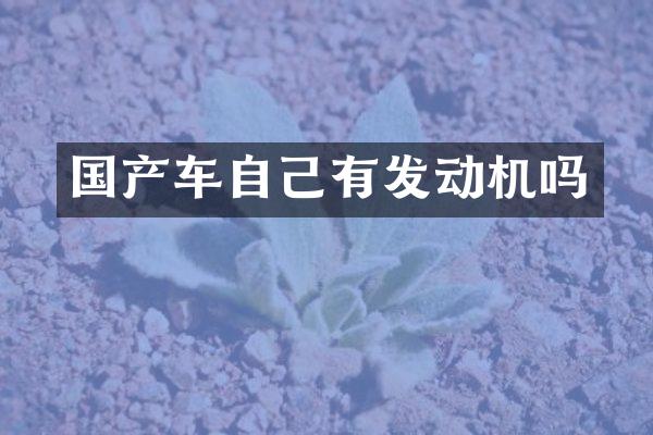 国产车自己有发动机吗