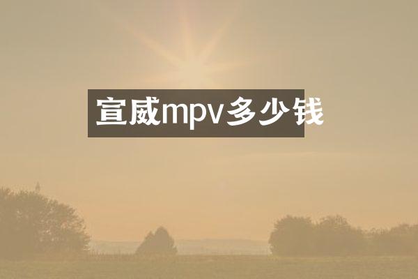 宣威mpv多少钱