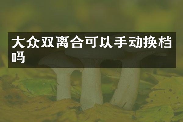 大众双离合可以手动换档吗