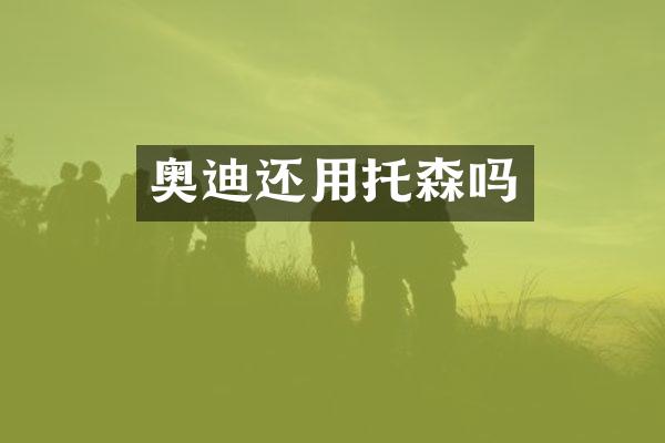 奥迪还用托森吗