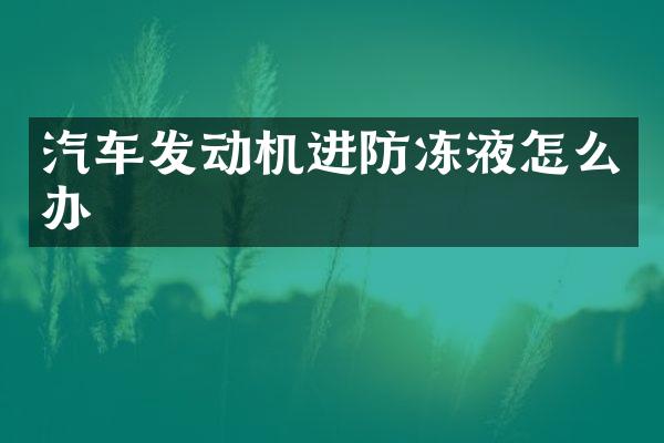 汽车发动机进防冻液怎么办