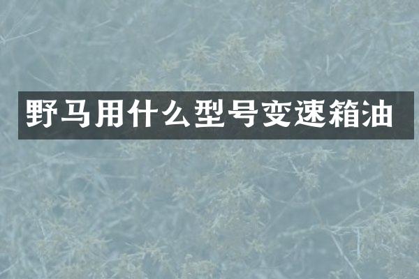 野马用什么型号变速箱油