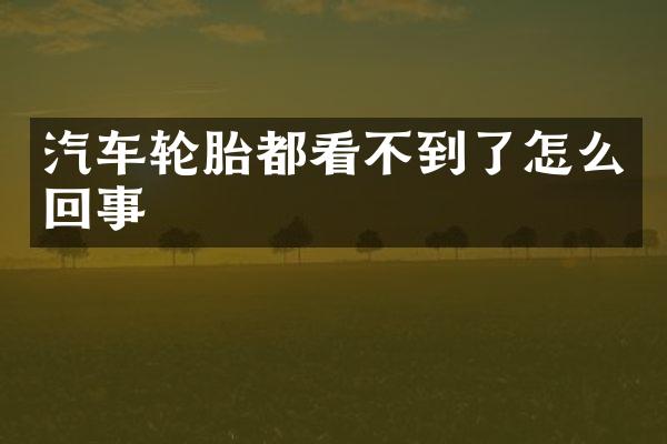 汽车轮胎都看不到了怎么回事