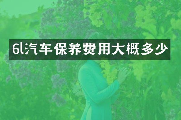 6l汽车保养费用大概多少