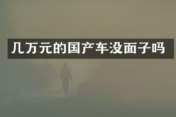 几万元的国产车没面子吗