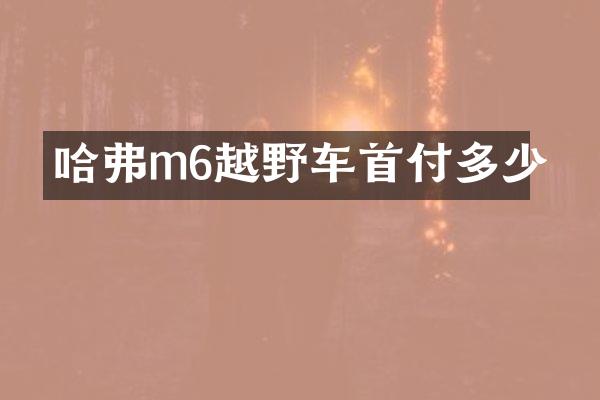 哈弗m6越野车首付多少