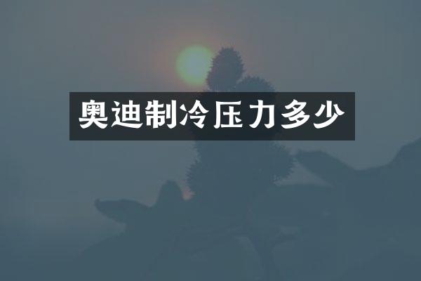 奥迪制冷压力多少