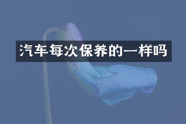 汽车每次保养的一样吗