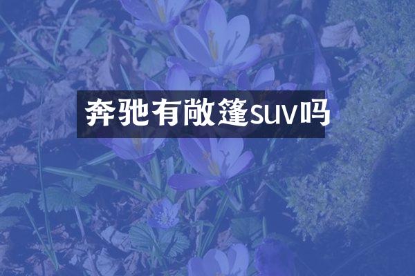 奔驰有敞篷suv吗