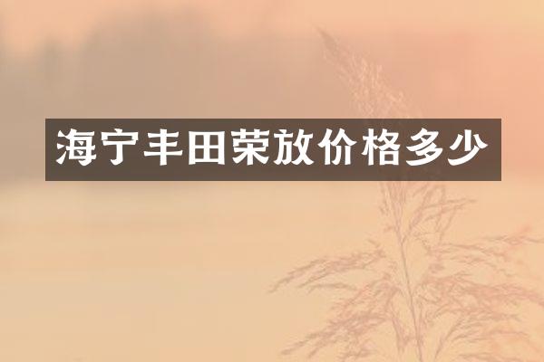 海宁丰田荣放价格多少