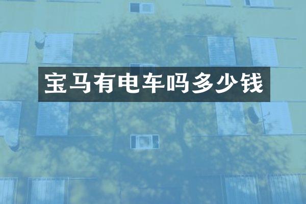 宝马有电车吗多少钱
