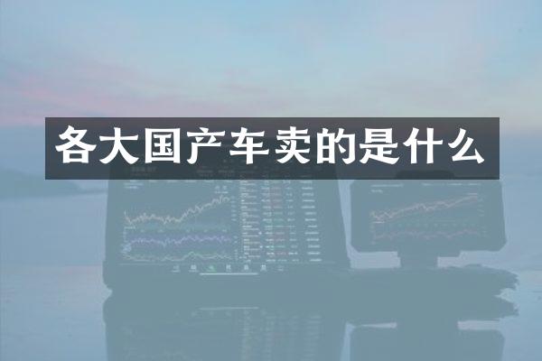 各大国产车卖的是什么