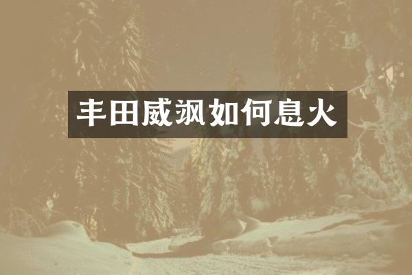 丰田威飒如何息火