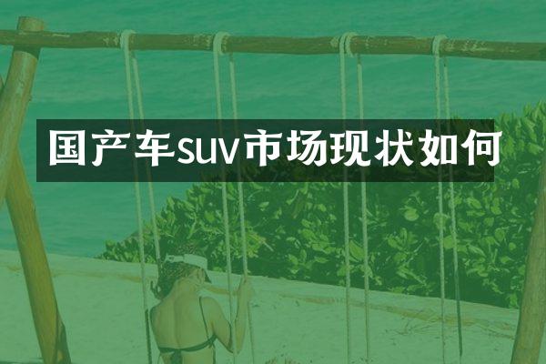 国产车suv市场现状如何