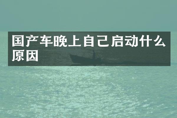 国产车晚上自己启动什么原因