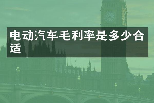 电动汽车毛利率是多少合适