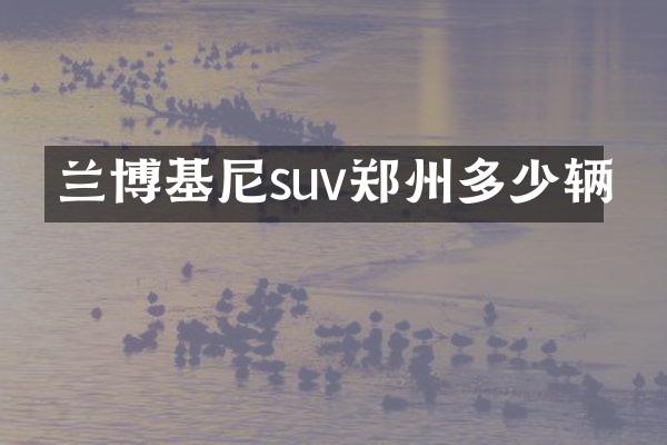 兰博基尼suv郑州多少辆