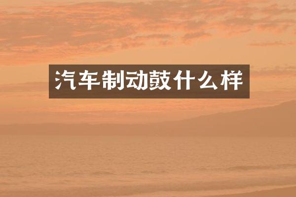 汽车制动鼓什么样