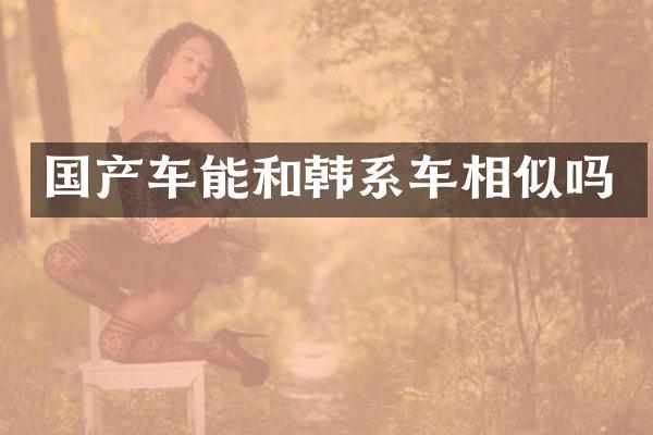 国产车能和韩系车相似吗