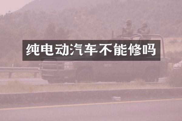 纯电动汽车不能修吗
