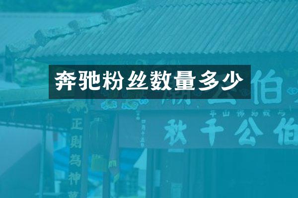 奔驰粉丝数量多少