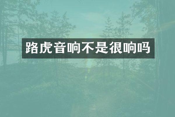 路虎音响不是很响吗