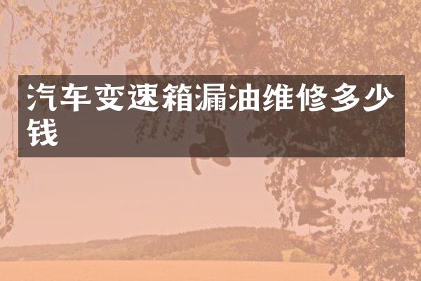汽车变速箱漏油维修多少钱