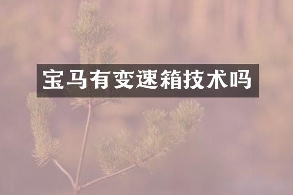 宝马有变速箱技术吗