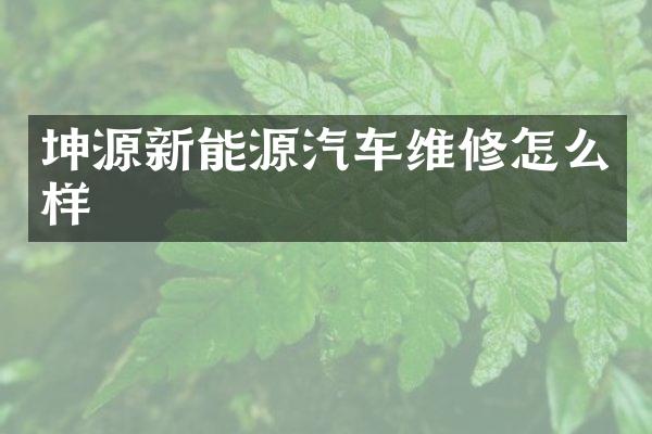 坤源新能源汽车维修怎么样
