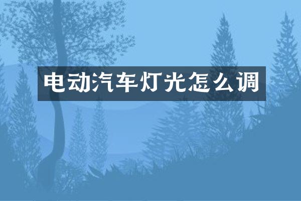 电动汽车灯光怎么调