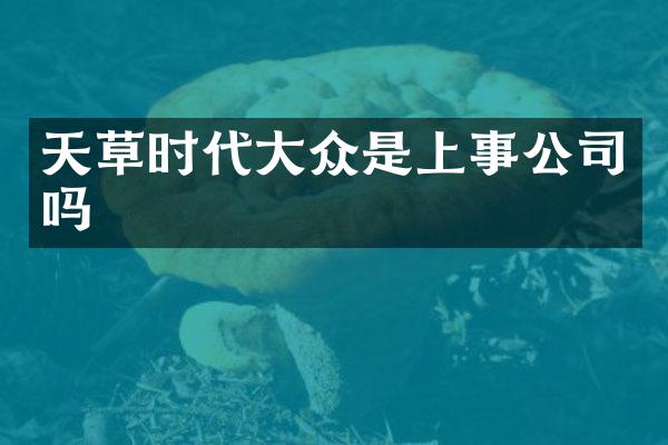 天草时代大众是上事公司吗