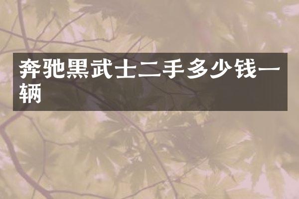 奔驰黑武士二手多少钱一辆