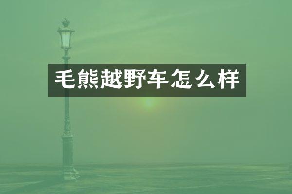 毛熊越野车怎么样