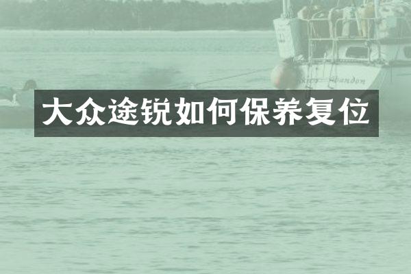 大众途锐如何保养复位