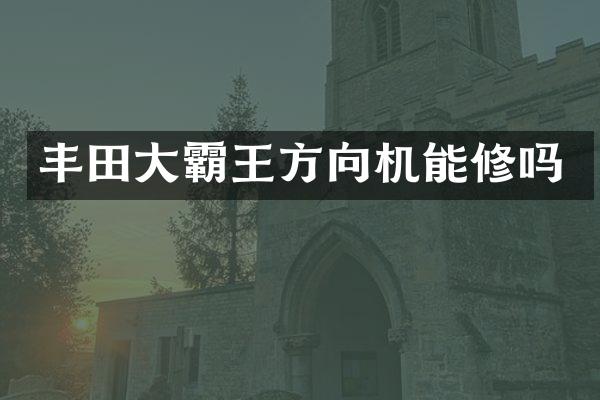 丰田大霸王方向机能修吗