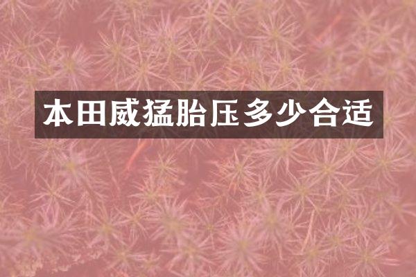 本田威猛胎压多少合适