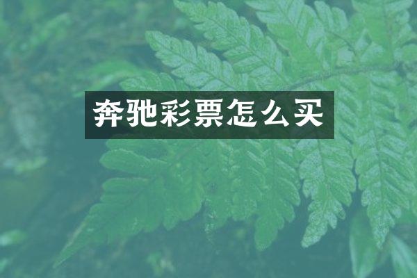 奔驰彩票怎么买