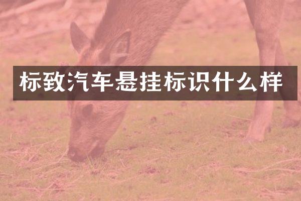 标致汽车悬挂标识什么样