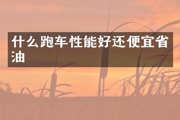 什么跑车性能好还便宜省油