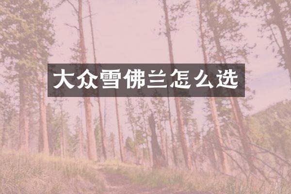 大众雪佛兰怎么选