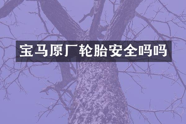 宝马原厂轮胎安全吗吗