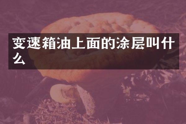 变速箱油上面的涂层叫什么